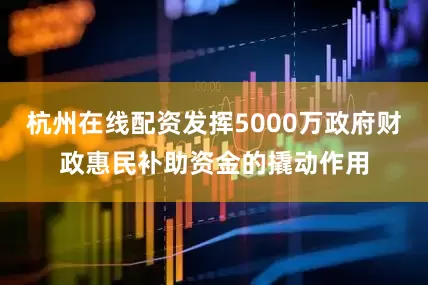 杭州在线配资发挥5000万政府财政惠民补助资金的撬动作用